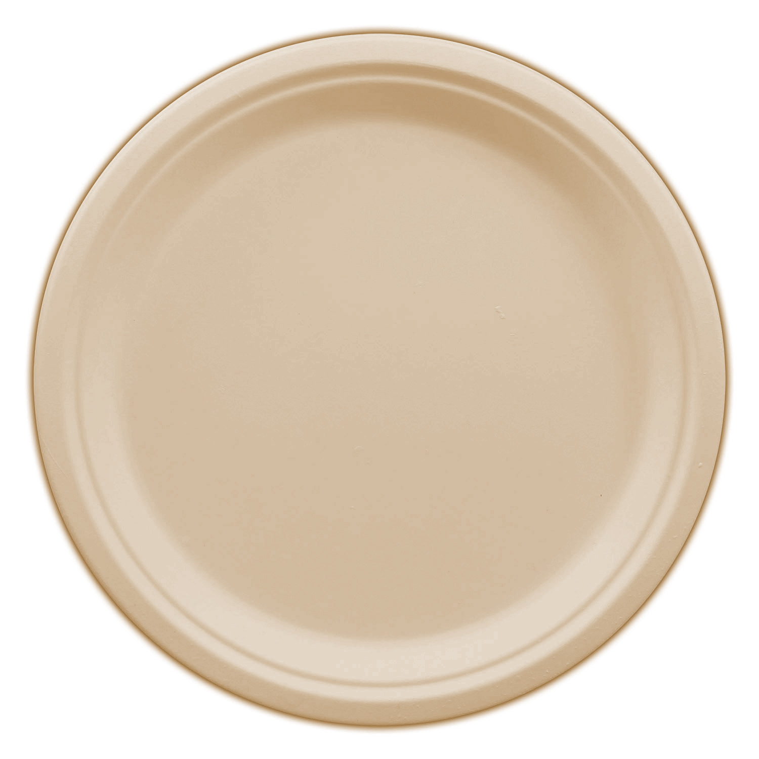 Table Accents - Compostable Plates - 10" - Bagasse